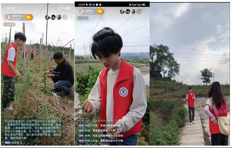 图片3.png 图片3.png