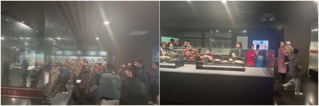 图片5.png 图片5.png